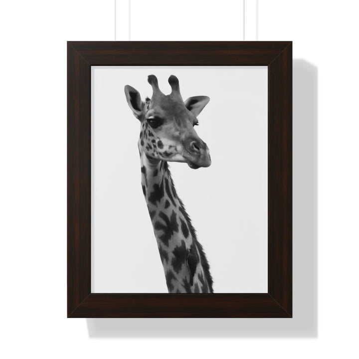 Giraffe Portrait in Black and White - Framed Print