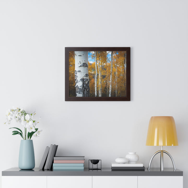 Aspens Changing - Framed Print