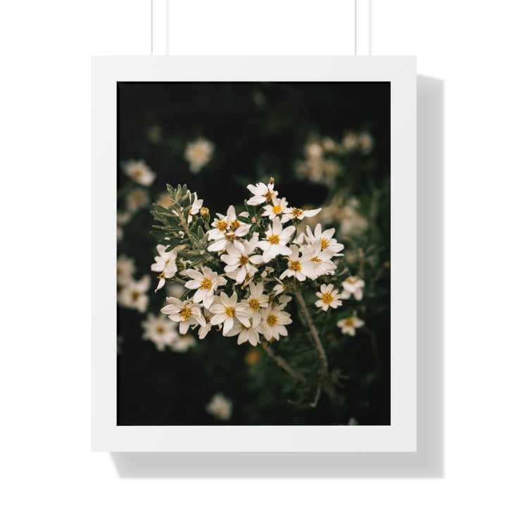 A Touch of White - Framed Print