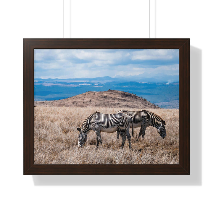 Zebra-Striped Expanse - Framed Print