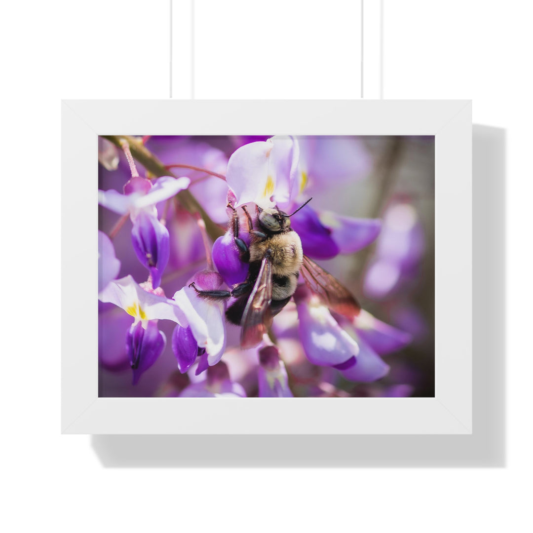 Hungry Visitor - Framed Print