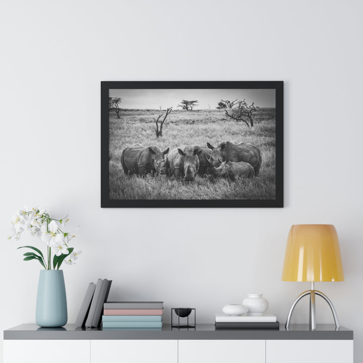 Rhino Family in Black and White - Framed Print