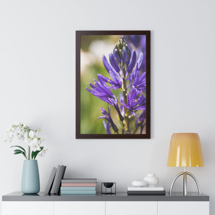 Camas in Bloom - Framed Print
