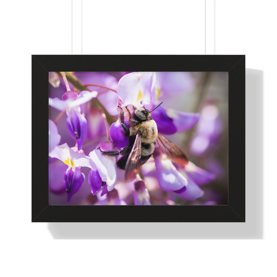 Hungry Visitor - Framed Print