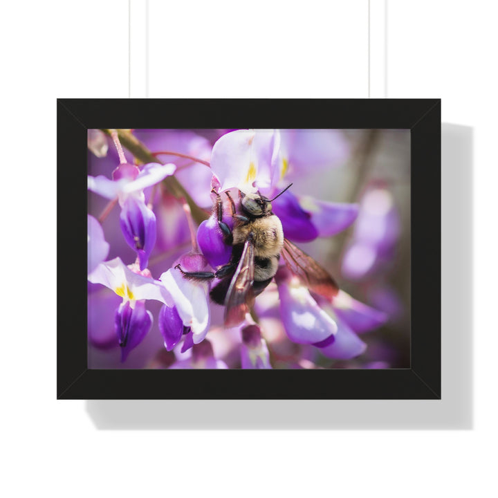 Hungry Visitor - Framed Print