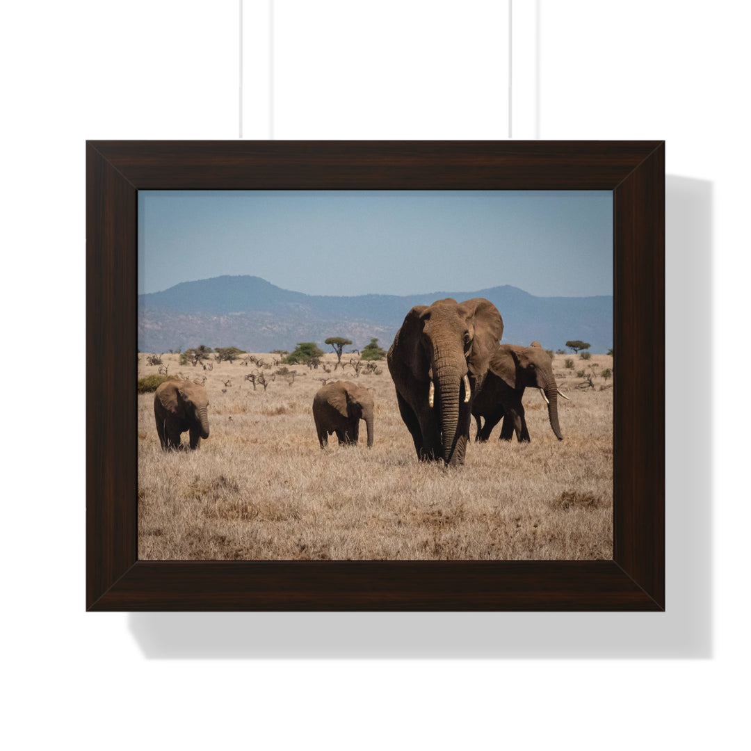 Family March - Framed Print
