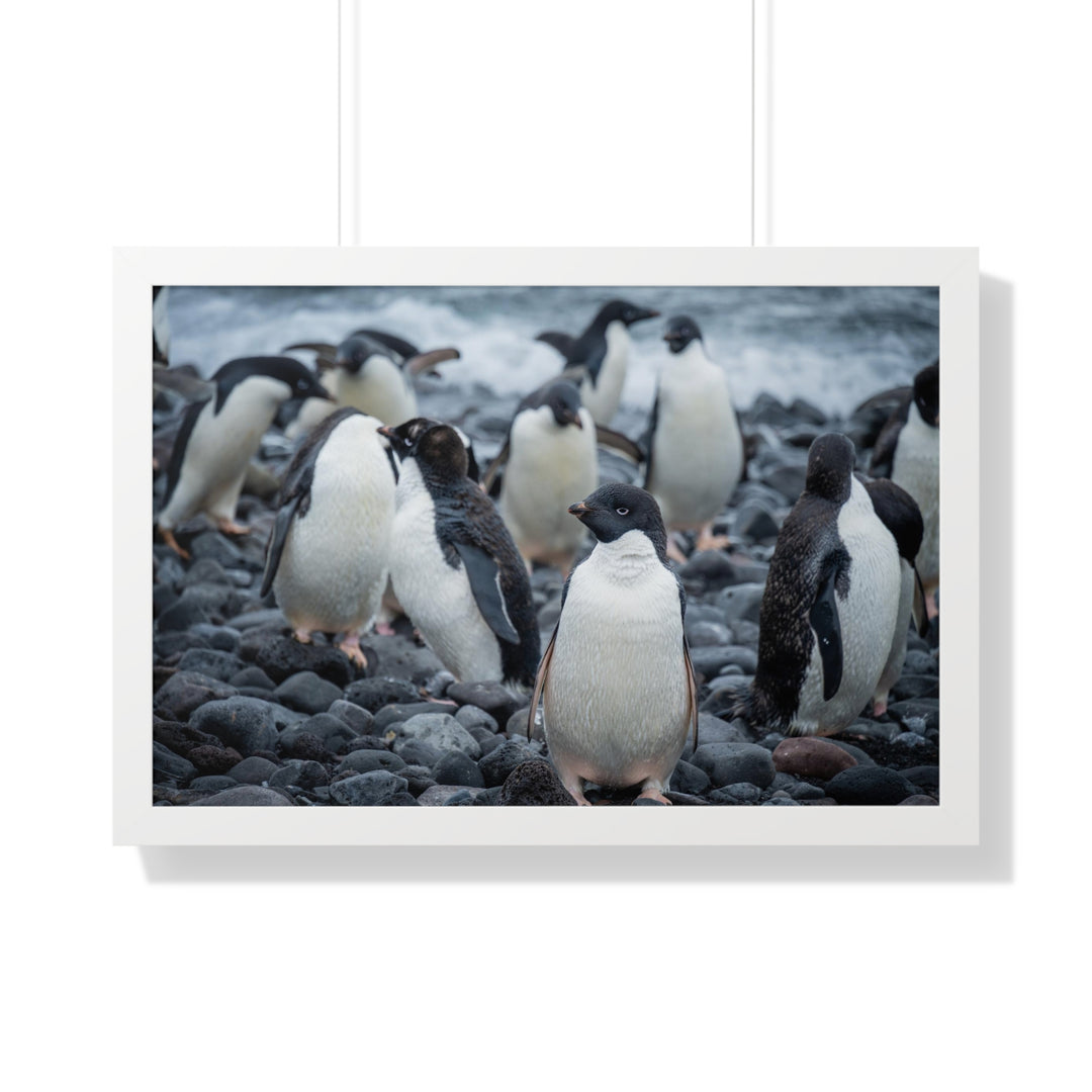 Drying Out - Framed Print