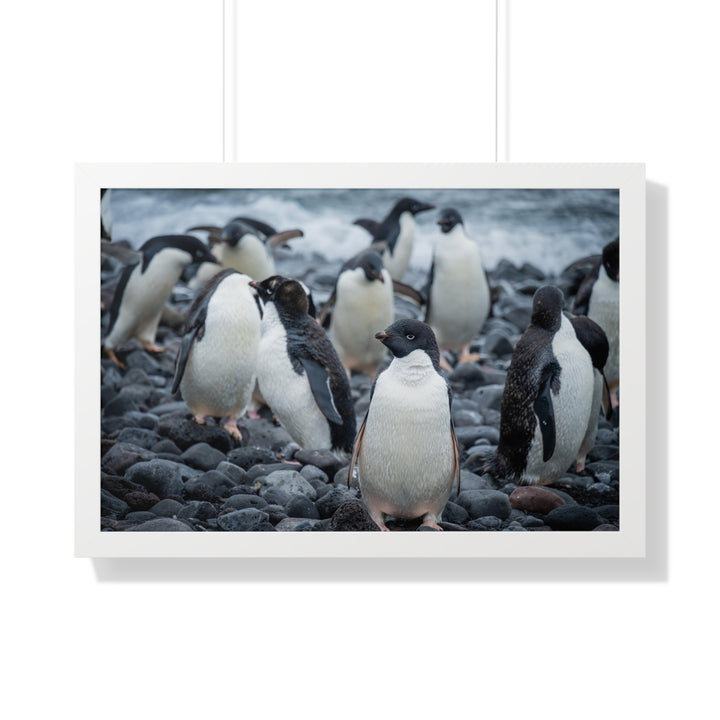 Drying Out - Framed Print