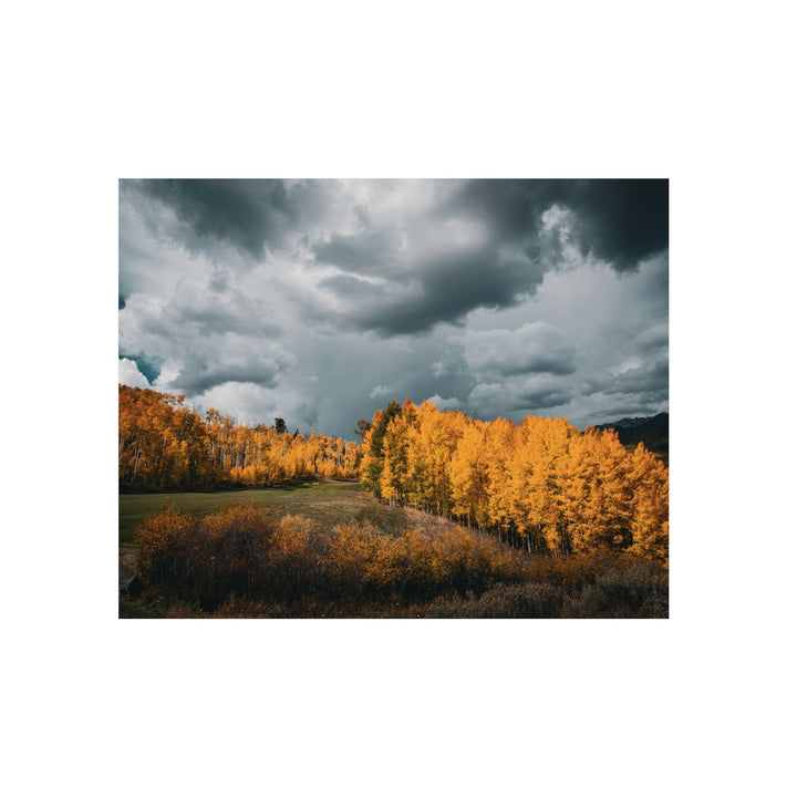 Courage | Aluminum Wall Art | Elemental Escape Collection