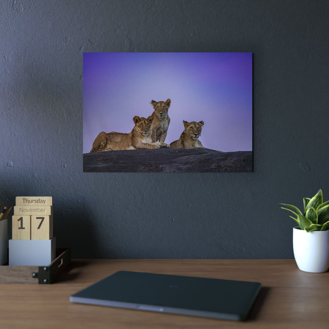 When the Light Fades Purple | Aluminum Wall Art | Elemental Escape Collection