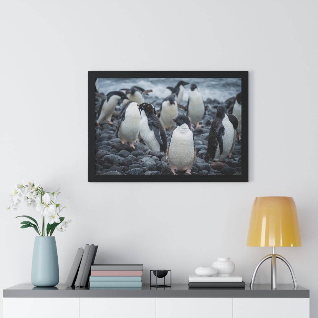 Drying Out - Framed Print