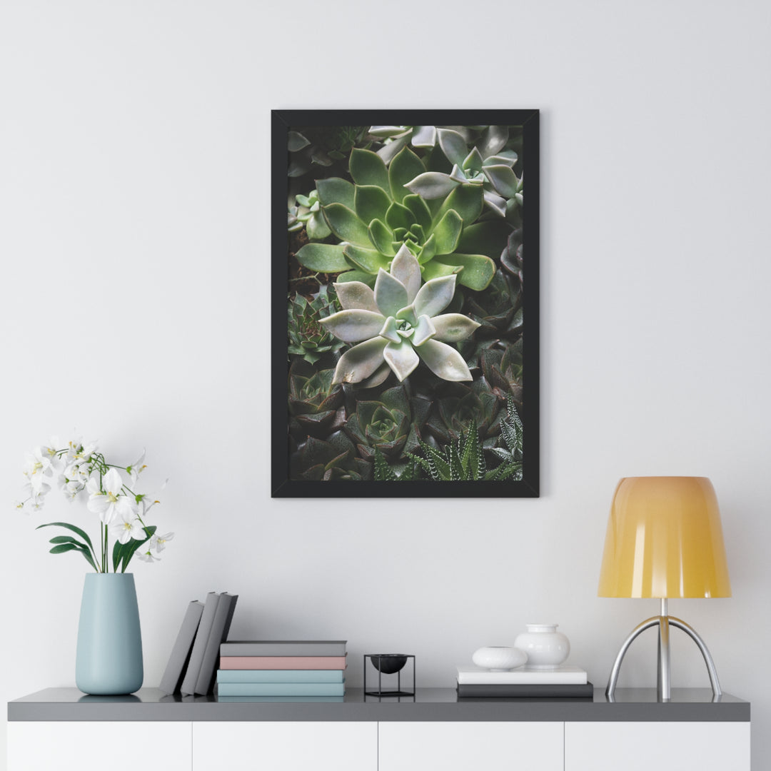 Succulent Array - Framed Print