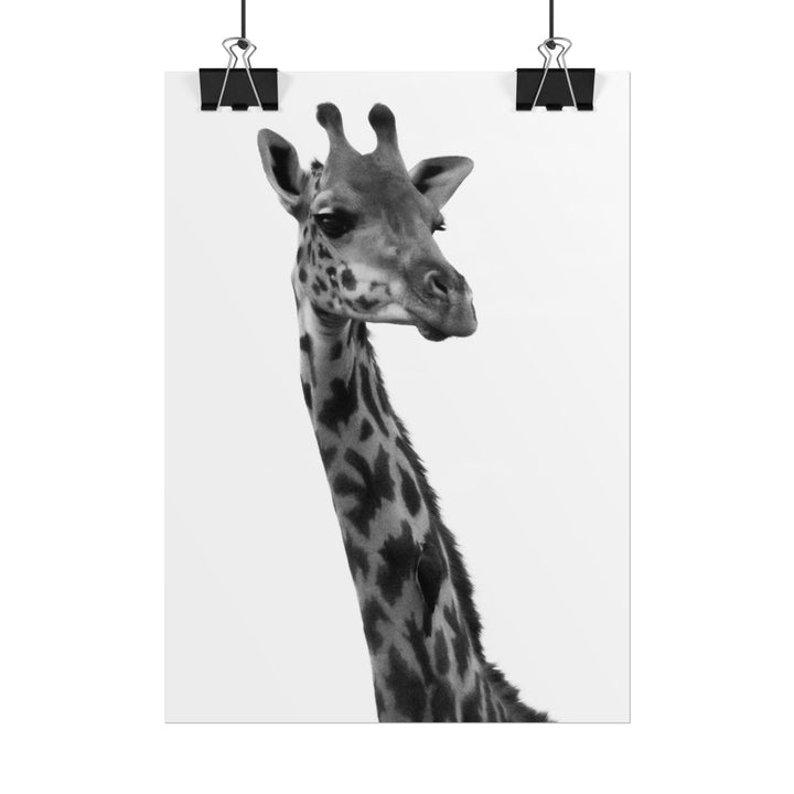 Giraffe Portrait in Black and White | Rolled Unframed Print | Elemental Escape Collection