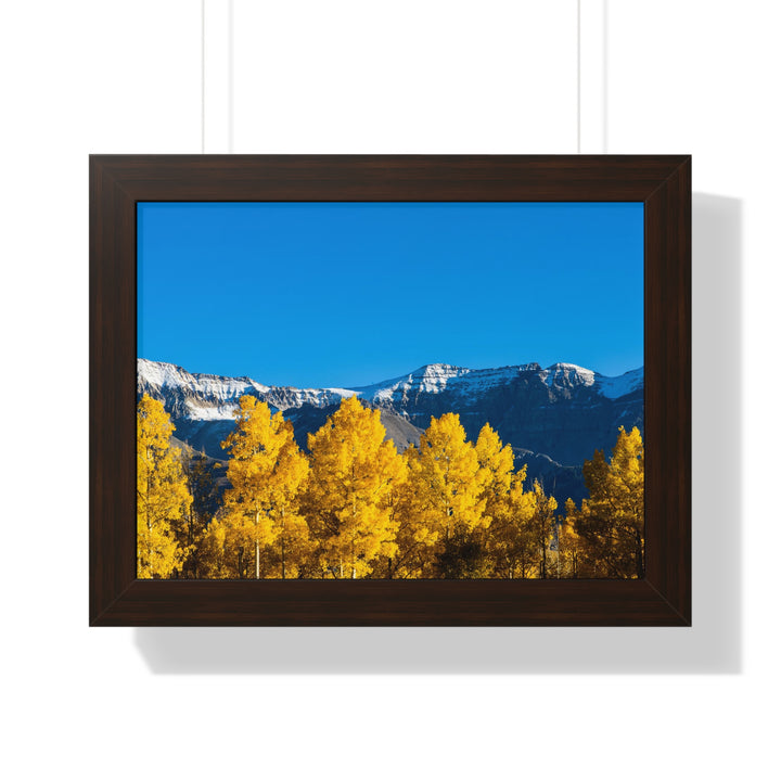 Golden Glow - Framed Print