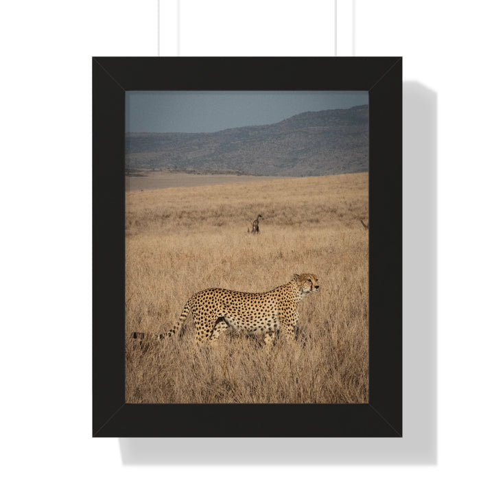 Regal Camouflage  - Framed Print