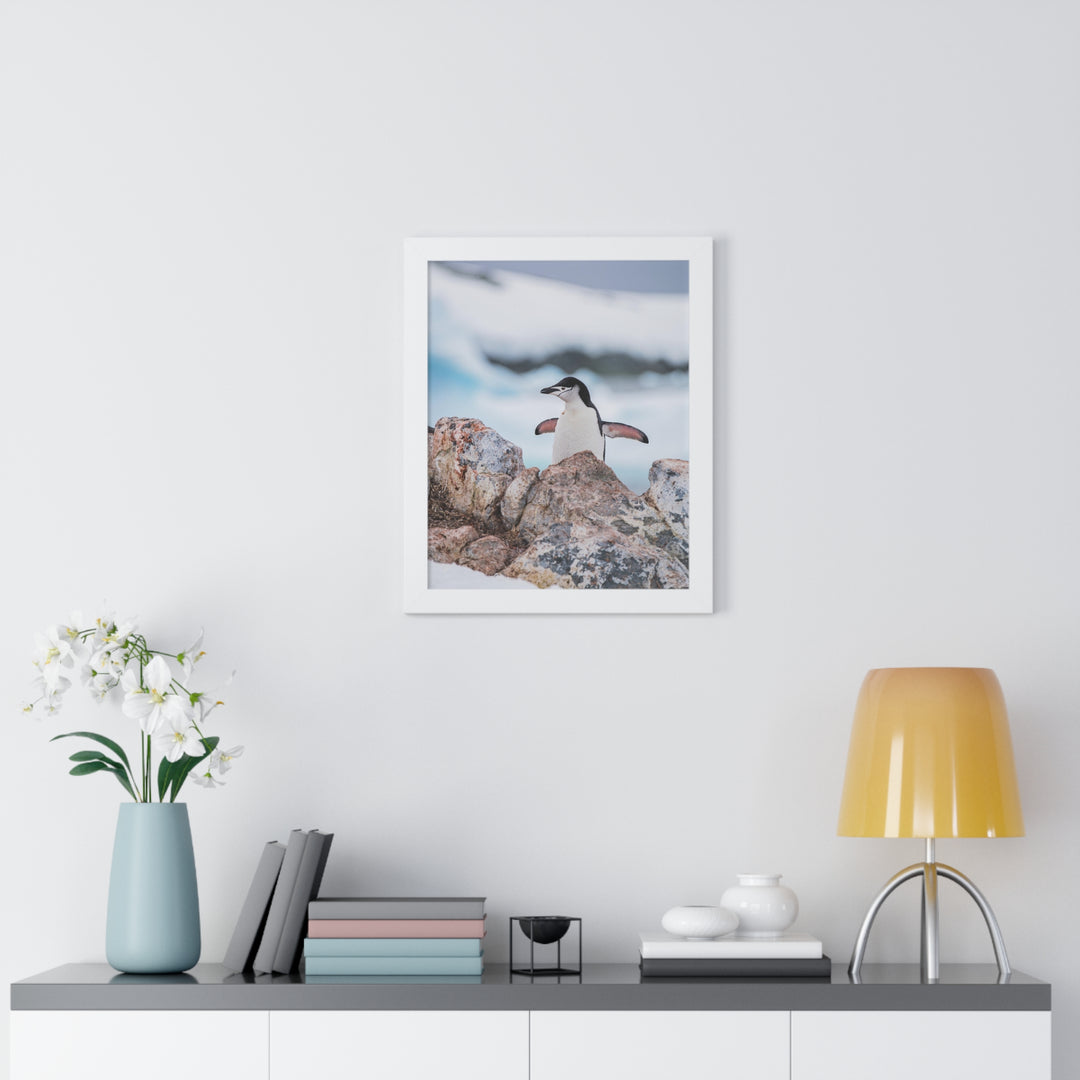 Stretched Penguin - Framed Print