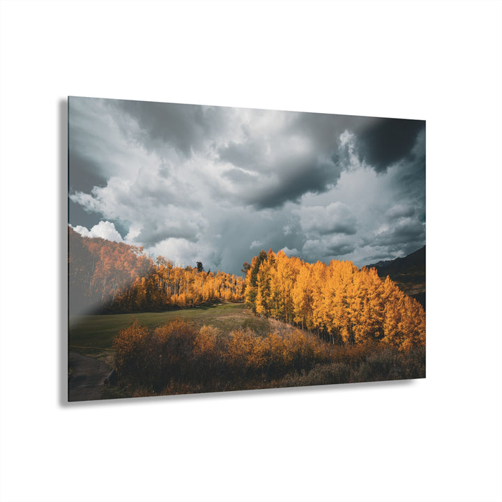 Courage | Acrylic Wall Art Print | Elemental Escape Collection