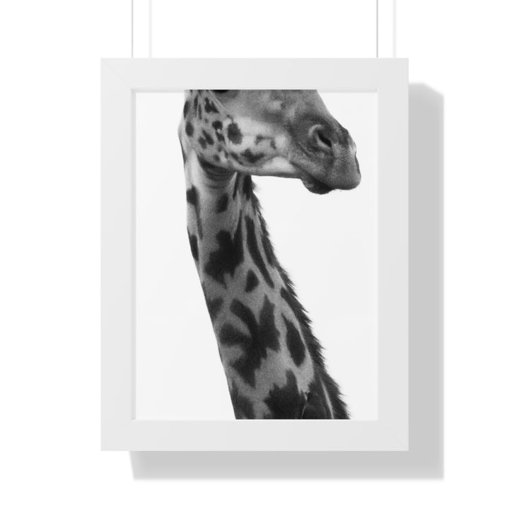 Giraffe Portrait in Black and White - Framed Print