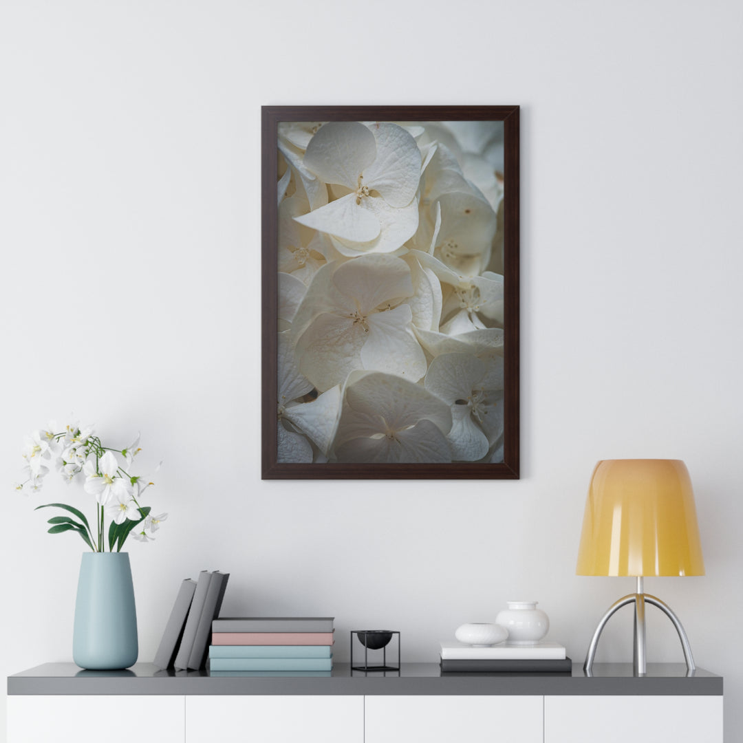 White Hydrangea Detail - Framed Print