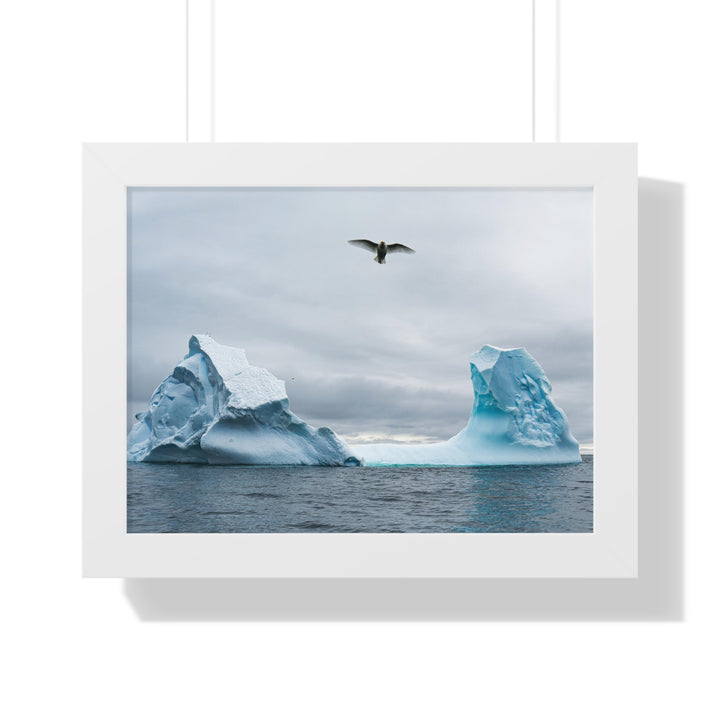 Antarctic Flight - Framed Print