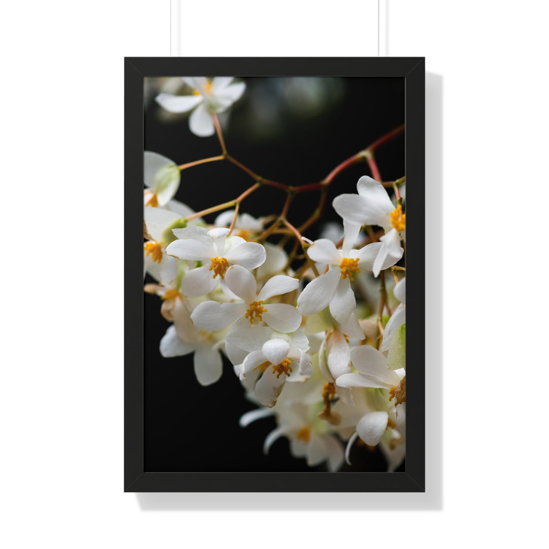 Floral Network - Framed Print