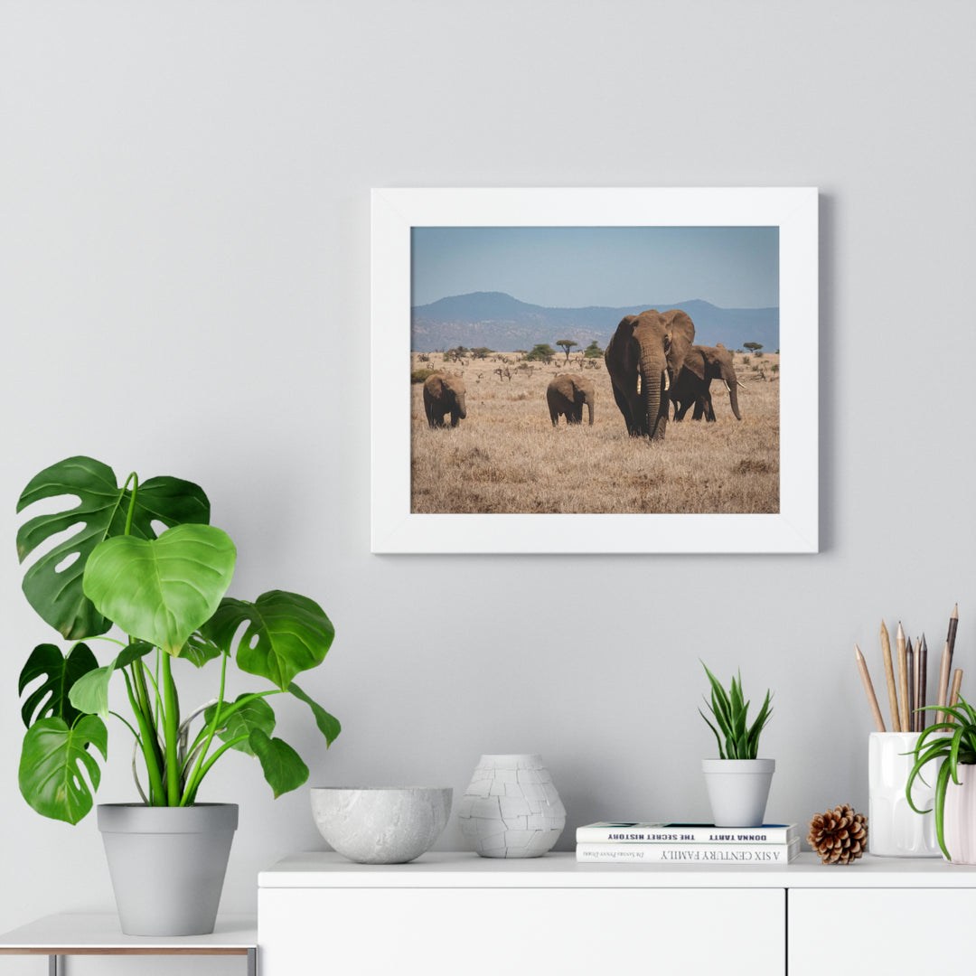 Family March - Framed Print