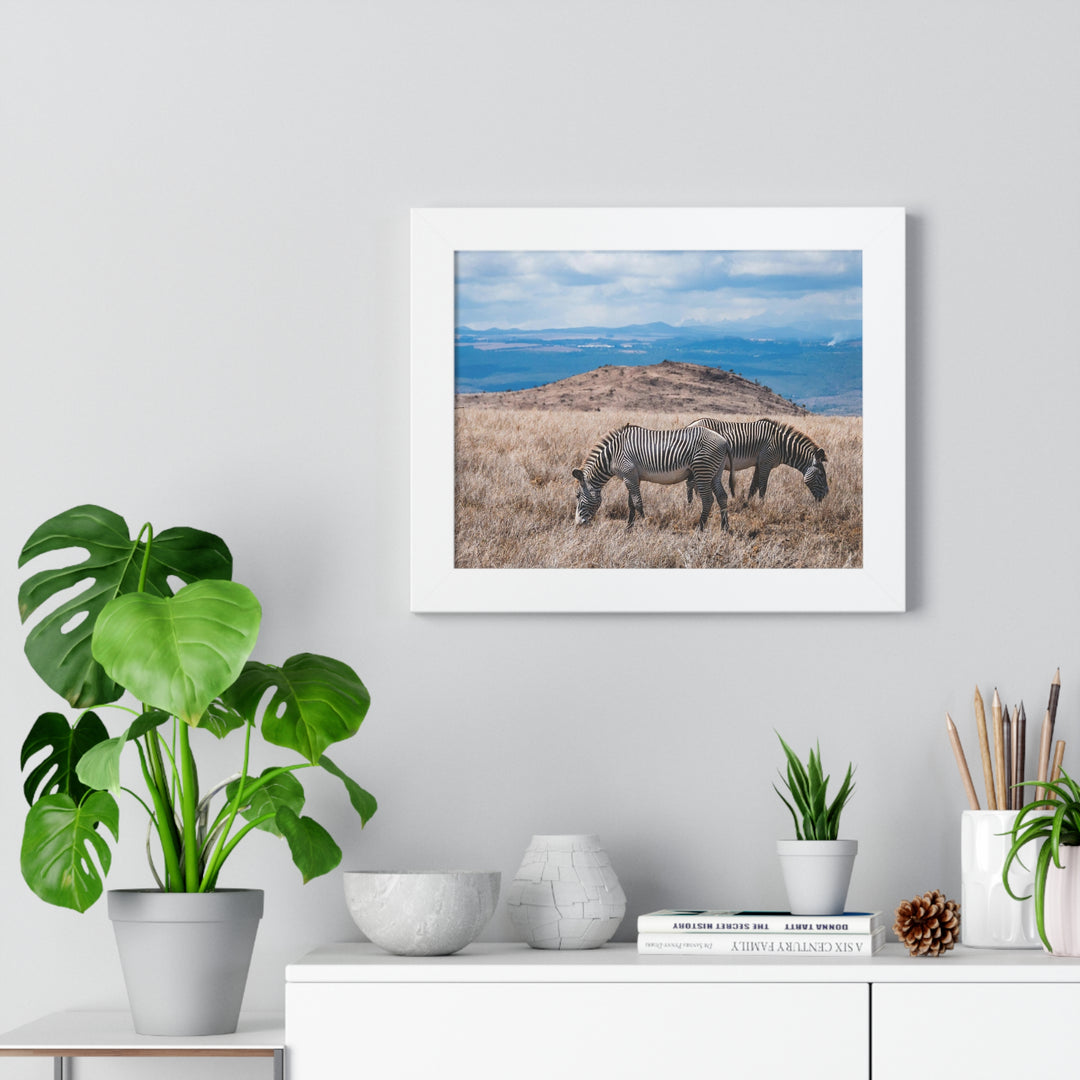 Zebra-Striped Expanse - Framed Print