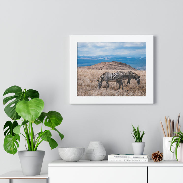 Zebra-Striped Expanse - Framed Print