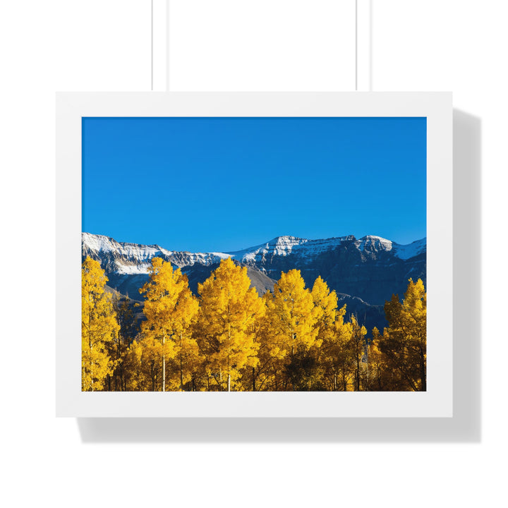 Golden Glow - Framed Print