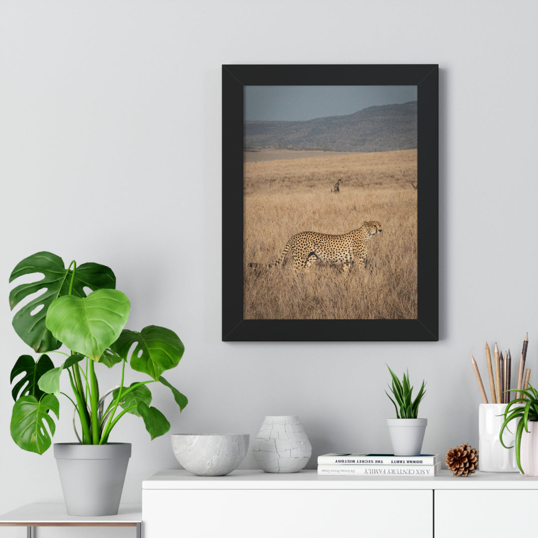 Regal Camouflage  - Framed Print