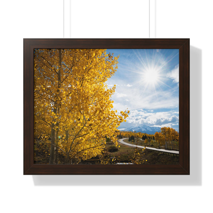 Golden Sunshine - Framed Print