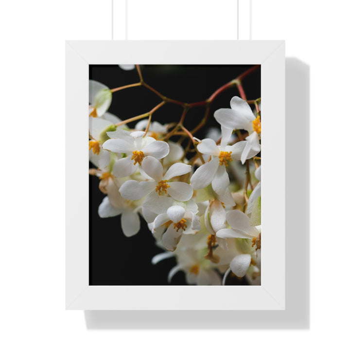 Floral Network - Framed Print