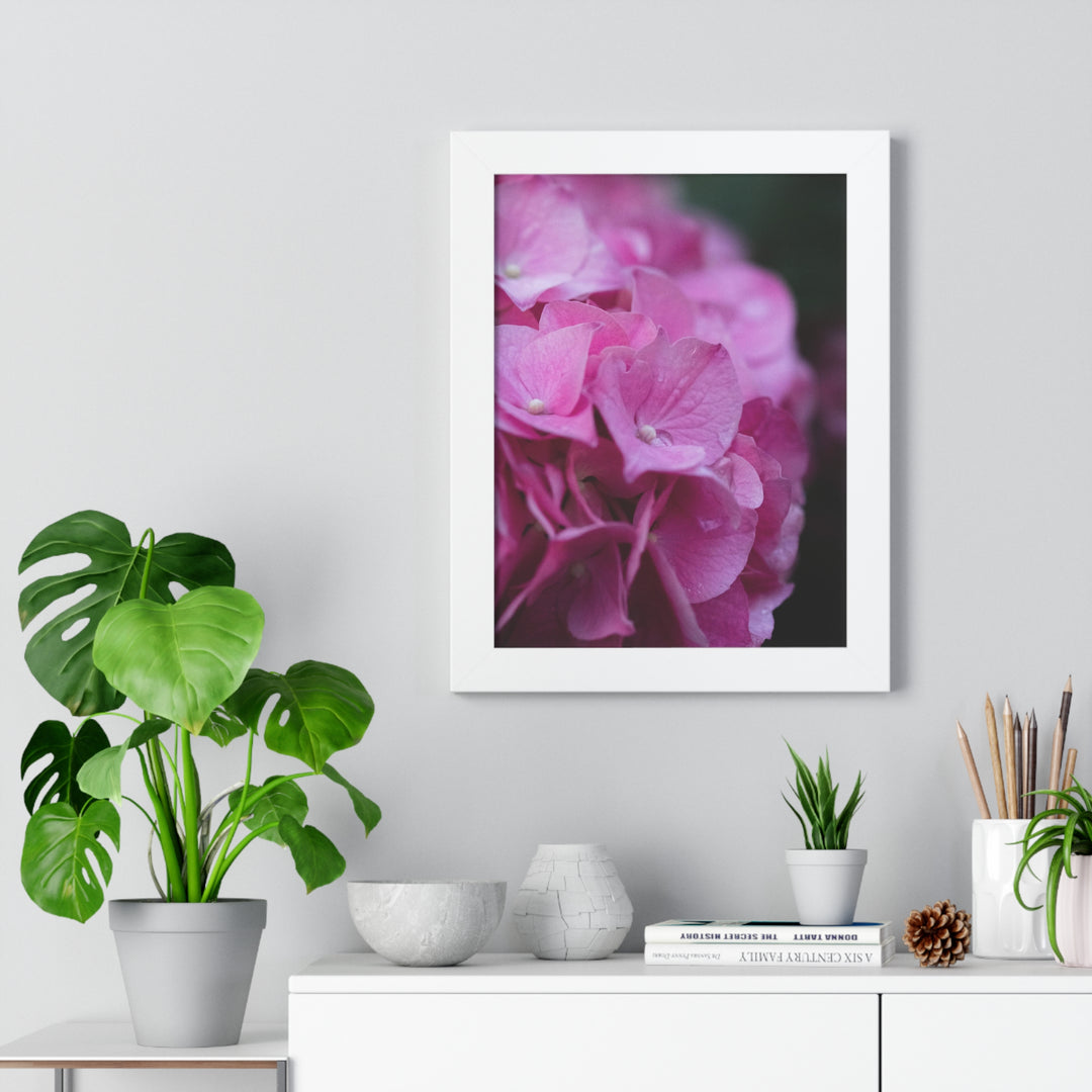 Pink Hydrangea Detail - Framed Print
