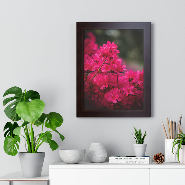 Full Bloom - Framed Print