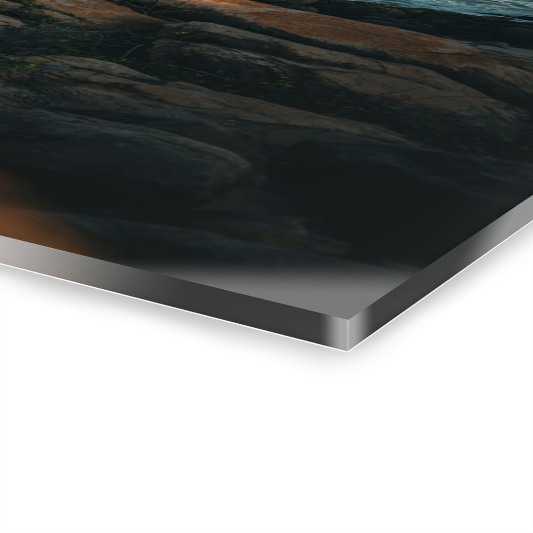 Resilience | Acrylic Wall Art Print | Elemental Escape Collection