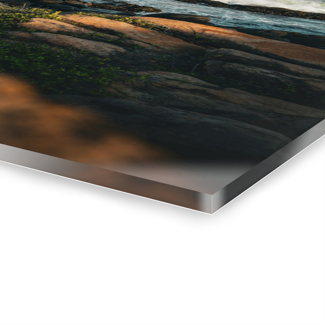 Resilience | Acrylic Wall Art Print | Elemental Escape Collection
