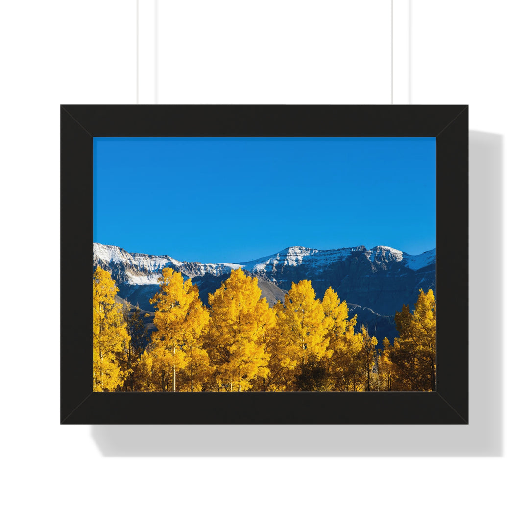 Golden Glow - Framed Print