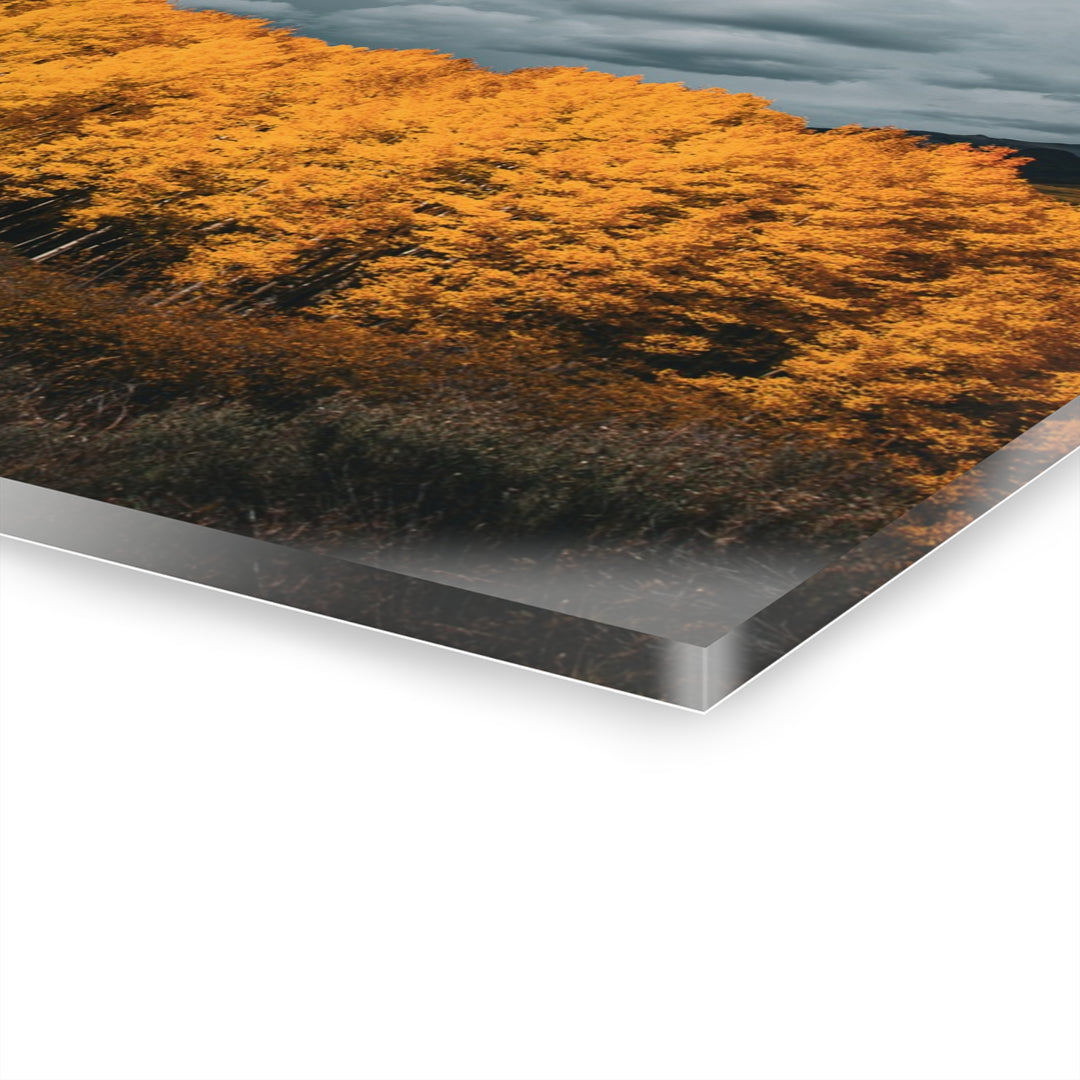 Courage | Acrylic Wall Art Print | Elemental Escape Collection