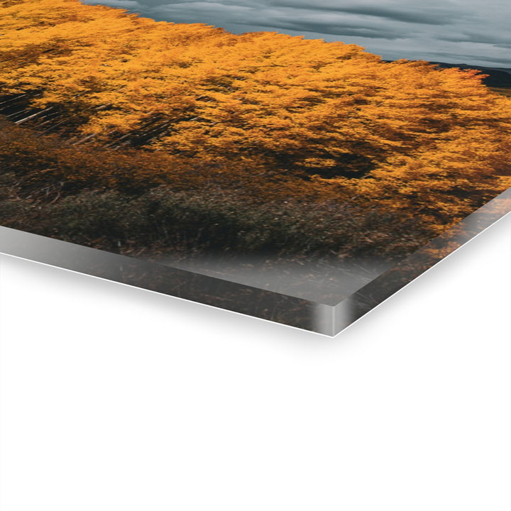 Courage | Acrylic Wall Art Print | Elemental Escape Collection