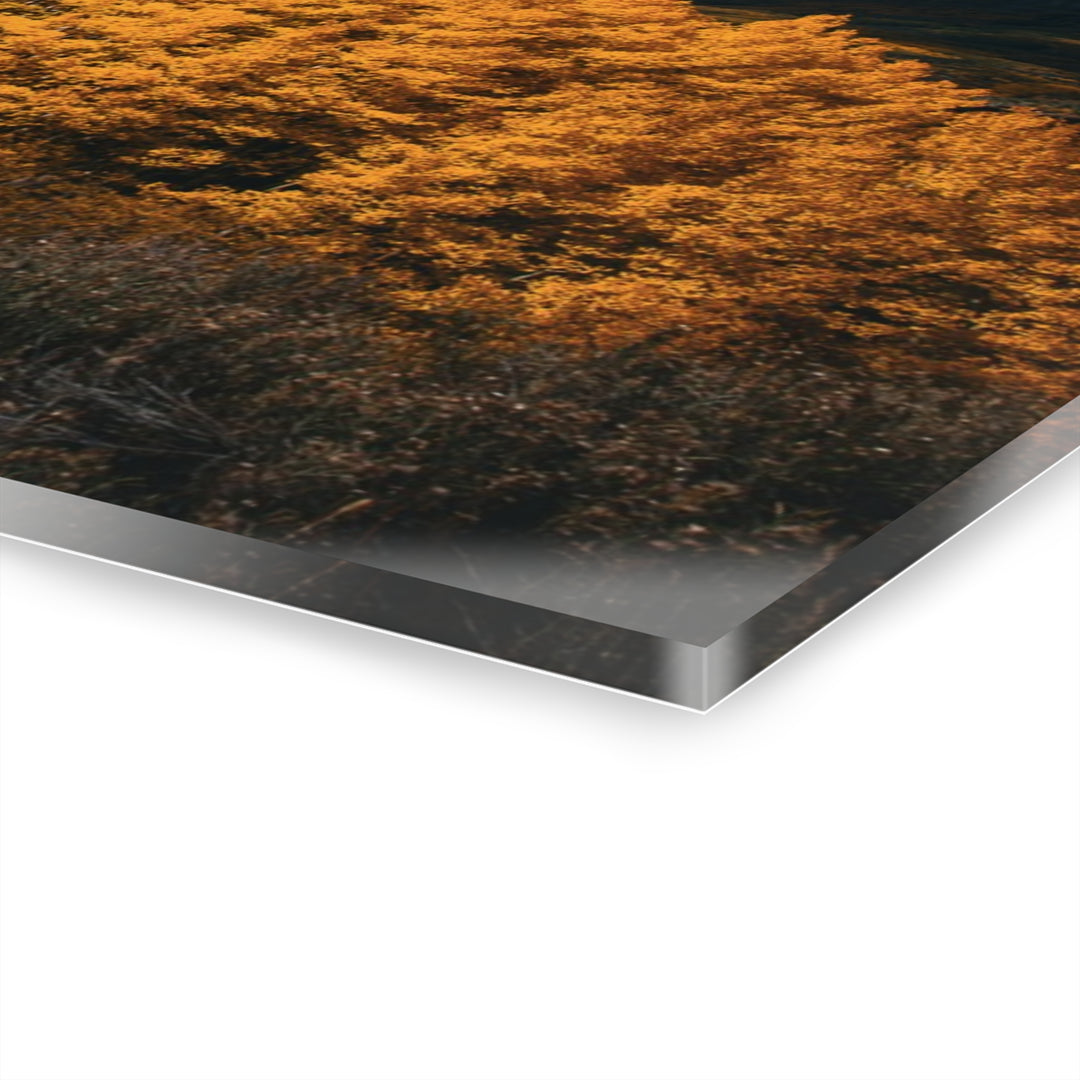 Courage | Acrylic Wall Art Print | Elemental Escape Collection