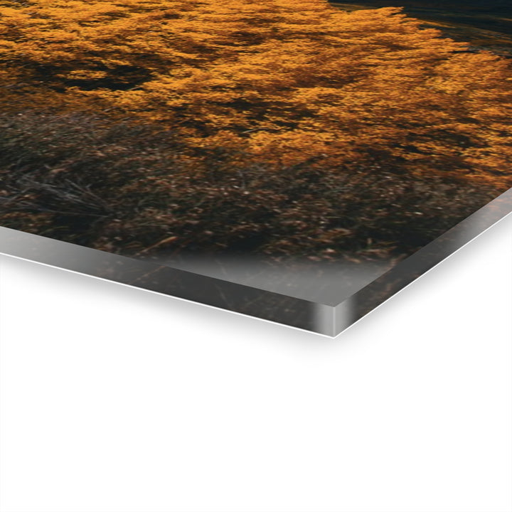 Courage | Acrylic Wall Art Print | Elemental Escape Collection