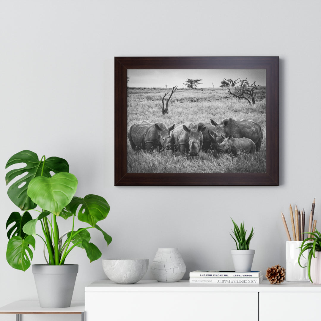 Rhino Family in Black and White - Framed Print