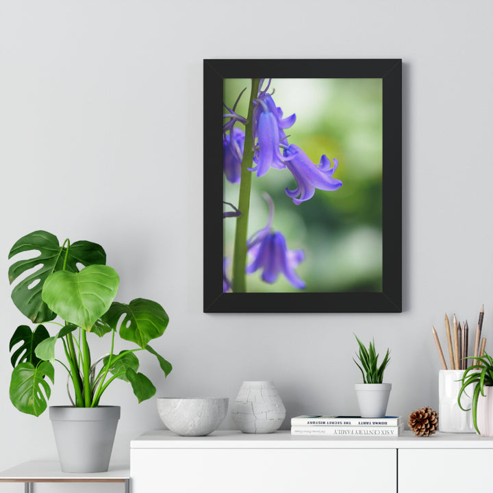 Delicate Bell - Framed Print