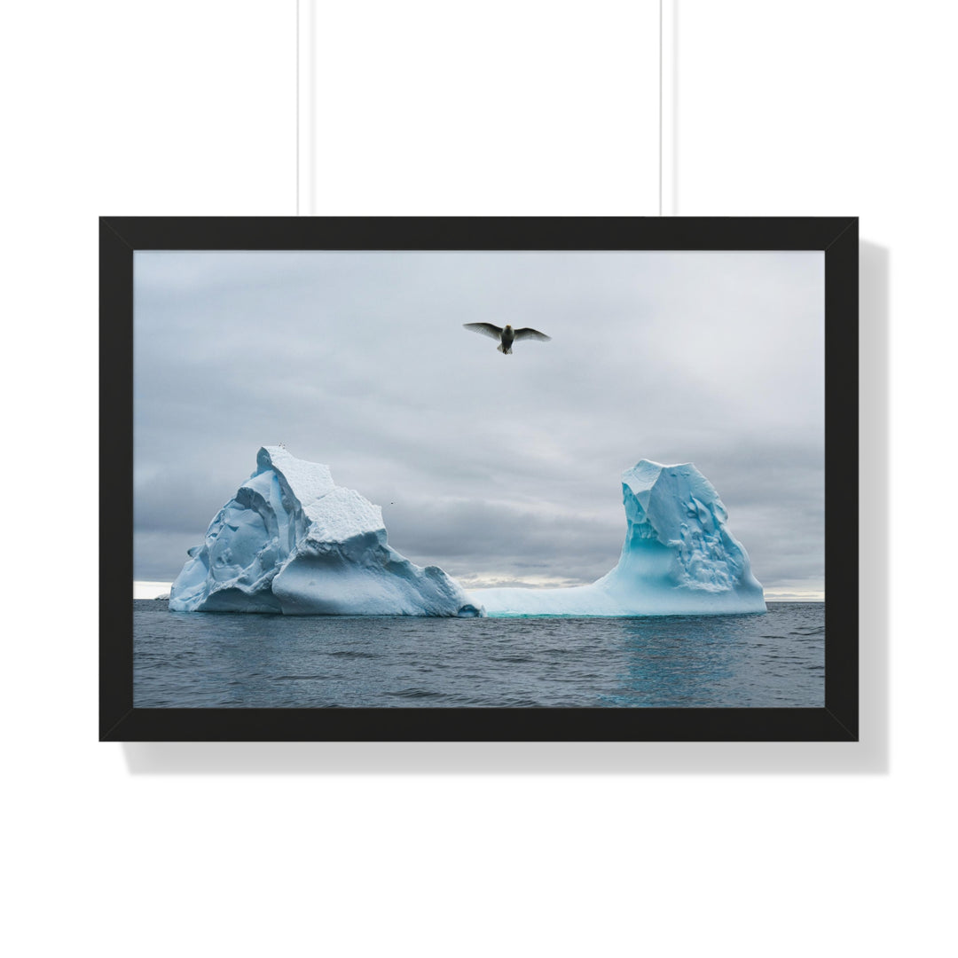 Antarctic Flight - Framed Print