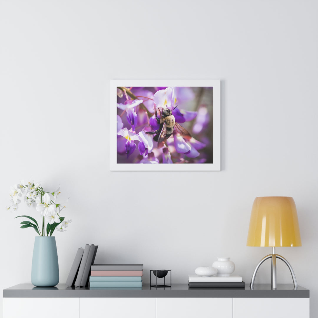 Hungry Visitor - Framed Print