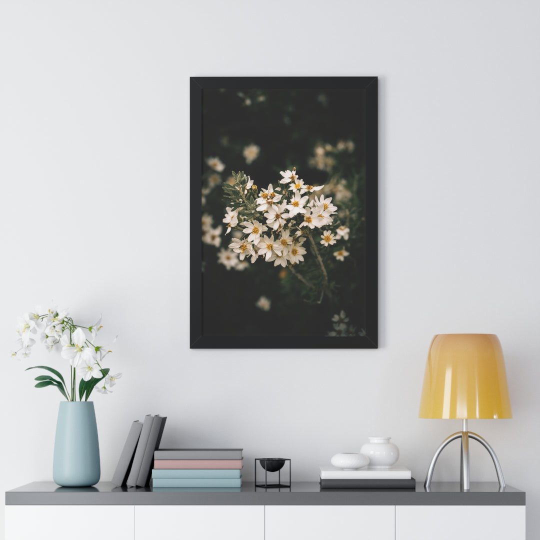 A Touch of White - Framed Print