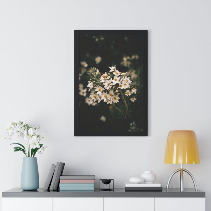 A Touch of White - Framed Print
