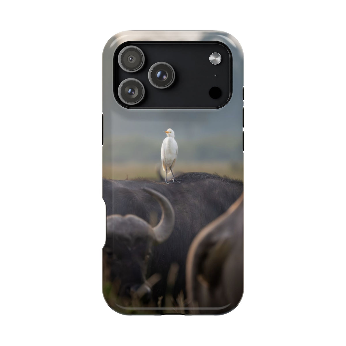 Copy of Magnetic Impact-Resistant Cases