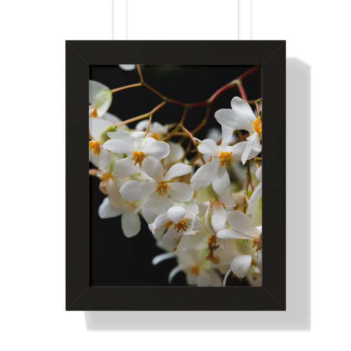Floral Network - Framed Print