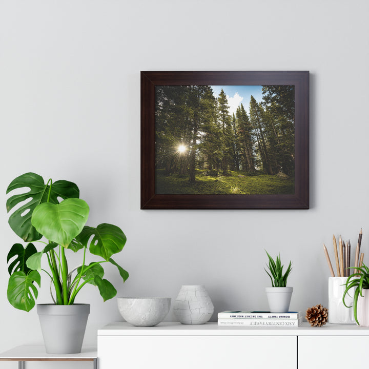 Forest Light - Framed Print